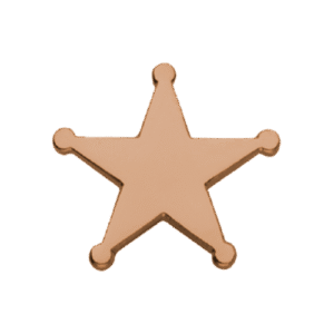 E1090 Bronze ‘Sheriff Star’ enamel badge