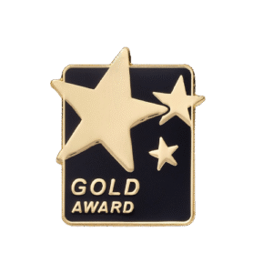 E1218 GOLD AWARD badge (pack of 5)