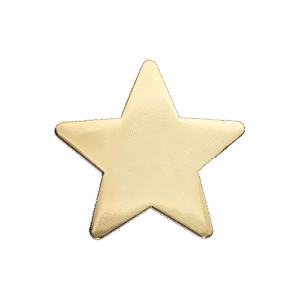 E141 Gold Polished Star badge (pack of 5)