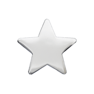 E142 Silver Polished Star badge (pack of 5)