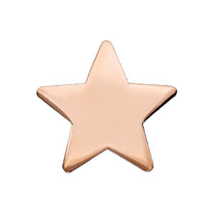 E143 Bronze Polished Star badge (pack of 5)