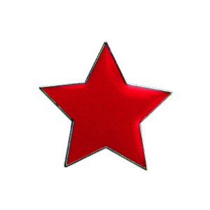 E38 Red Star  badge (pack of 5)