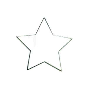 E403 White Star  badge (pack of 5)