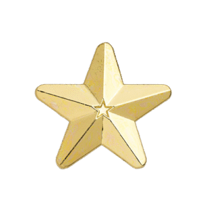 E544 Gold 3D Star badge (pack of 5)