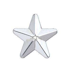 E545 Silver 3D Star badge (pack of 5)