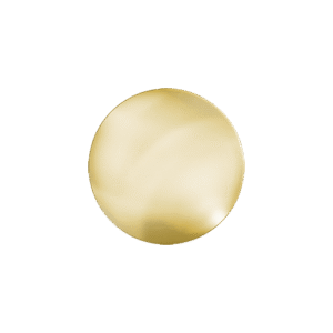 E583 Gold Circle badge (pack of 5)