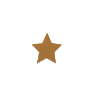 E756 Tiny Bronze Star enamel badge (pack of 5)