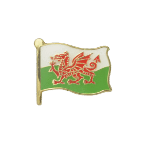E767 Welsh Flag enamel badge (pack of 5)