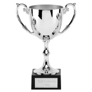 Silver Recognition cast cup on a marble base